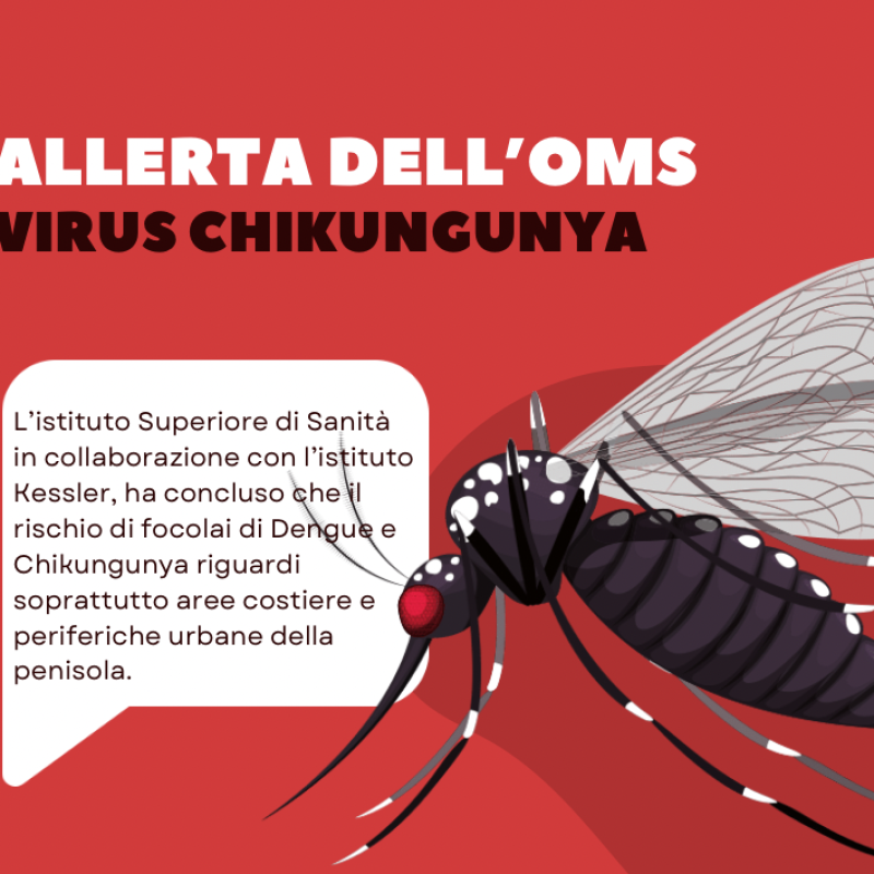 Allerta dell'OMS: il virus Chikungunya rappresenta un rischio globale